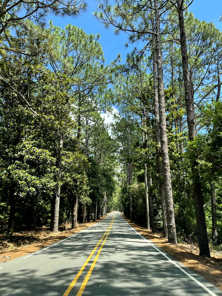 Pinehurst and Southern Pines Baby Gear Rentals 1 Southern Pines Baby Gear Delivery